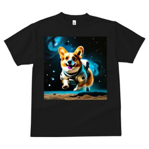 R[M[ TVc fB[X t@  t  vg JWA 킢 lԗp h ̃fUC ʔ F R[M[ F 