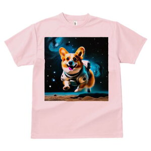 R[M[ TVc fB[X t@  t  vg JWA 킢 lԗp h ̃fUC ʔ F R[M[ F 