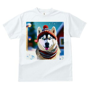 VxAnXL[ TVc fB[X t@  t  vg JWA 킢 lԗp h ̃fUC ʔ Xq VxAnXL[ XJ[t ~ 