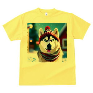 VxAnXL[ TVc fB[X t@  t  vg JWA 킢 lԗp h ̃fUC ʔ Xq VxAnXL[ XJ[t ~ 