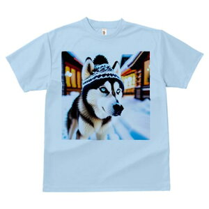 VxAnXL[ TVc fB[X t@  t  vg JWA 킢 lԗp h ̃fUC ʔ jbgX VxAnXL[ iF