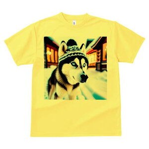 VxAnXL[ TVc fB[X t@  t  vg JWA 킢 lԗp h ̃fUC ʔ jbgX VxAnXL[ iF