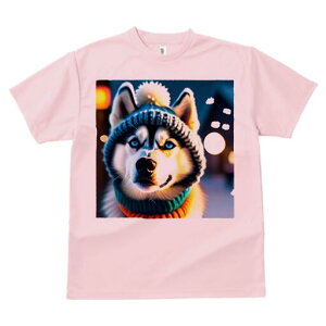 VxAnXL[ TVc fB[X t@  t  vg JWA 킢 lԗp h ̃fUC ʔ Xq VxAnXL[  ~ jbg