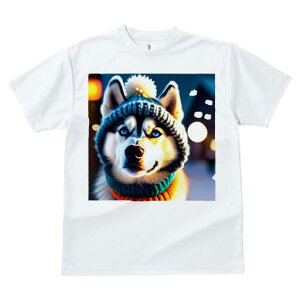 VxAnXL[ TVc fB[X t@  t  vg JWA 킢 lԗp h ̃fUC ʔ Xq VxAnXL[  ~ jbg