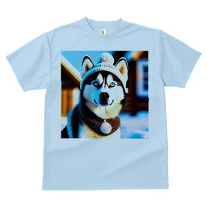 VxAnXL[ TVc fB[X t@  t  vg JWA 킢 lԗp h ̃fUC ʔ Xq VxAnXL[ XJ[t ~ 