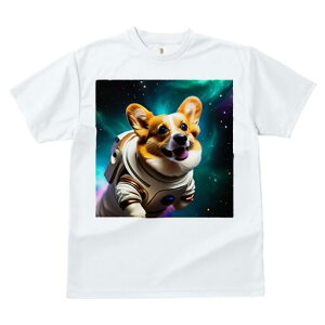 R[M[ TVc fB[X t@  t  vg JWA 킢 lԗp h ̃fUC ʔ F R[M[ F 