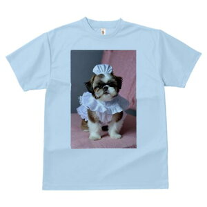 V[Y[ TVc fB[X t@  t  vg JWA 킢 lԗp h ̃fUC ʔ Ch V[Y[ Xq sN̈֎q