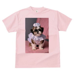 V[Y[ TVc fB[X t@  t  vg JWA 킢 lԗp h ̃fUC ʔ Ch V[Y[ Xq sN̈֎q