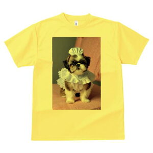 V[Y[ TVc fB[X t@  t  vg JWA 킢 lԗp h ̃fUC ʔ Ch V[Y[ Xq sN̈֎q