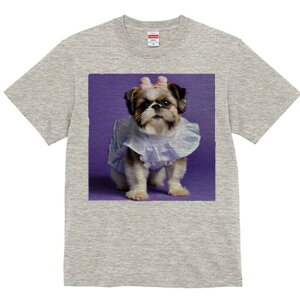 V[Y[ TVc fB[X t@  t  vg JWA 킢 lԗp h ̃fUC ʔ { V[Y[ 