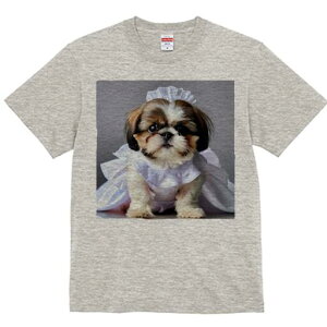 V[Y[ TVc fB[X t@  t  vg JWA 킢 lԗp h ̃fUC ʔ EFfBOhX V[Y[ Xq