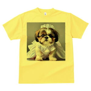 V[Y[ TVc fB[X t@  t  vg JWA 킢 lԗp h ̃fUC ʔ EFfBOhX V[Y[ Xq