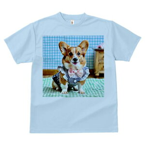 R[M[ TVc fB[X t@  t  vg JWA 킢 lԗp h ̃fUC ʔ lN^C R[M[ 