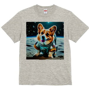 R[M[ TVc fB[X t@  t  vg JWA 킢 lԗp h ̃fUC ʔ F R[M[  F