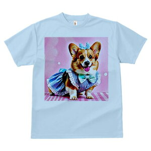 R[M[ TVc fB[X t@  t  vg JWA 킢 lԗp h ̃fUC ʔ { R[M[ s[X `FbN sN