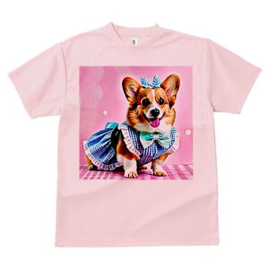 R[M[ TVc fB[X t@  t  vg JWA 킢 lԗp h ̃fUC ʔ { R[M[ s[X `FbN sN