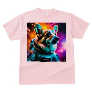 R[M[ TVc fB[X t@  t  vg JWA 킢 lԗp h ̃fUC ʔ F R[M[ F