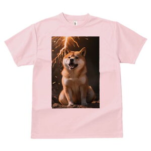 Č TVc fB[X t@  t  vg JWA 킢 lԗp h ̃fUC ʔ  Č 