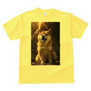 Č TVc fB[X t@  t  vg JWA 킢 lԗp h ̃fUC ʔ  Č 