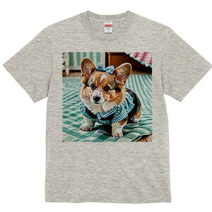 R[M[ TVc fB[X t@  t  vg JWA 킢 lԗp h ̃fUC ʔ { R[M[ `FbN 