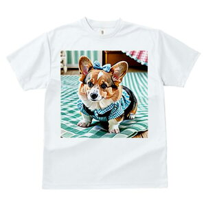 R[M[ TVc fB[X t@  t  vg JWA 킢 lԗp h ̃fUC ʔ { R[M[ `FbN 