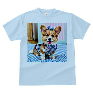 R[M[ TVc fB[X t@  t  vg JWA 킢 lԗp h ̃fUC ʔ { R[M[ 