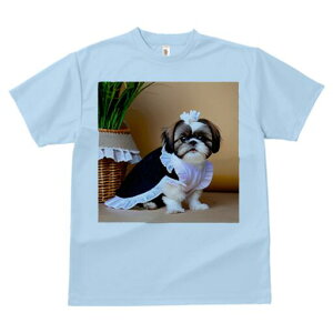 V[Y[ TVc fB[X t@  t  vg JWA 킢 lԗp h ̃fUC ʔ Ch V[Y[ ϗtA oXPbg