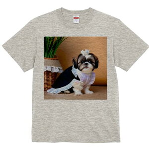 V[Y[ TVc fB[X t@  t  vg JWA 킢 lԗp h ̃fUC ʔ Ch V[Y[ ϗtA oXPbg