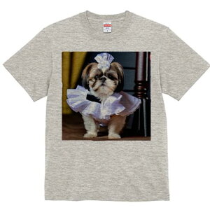 V[Y[ TVc fB[X t@  t  vg JWA 킢 lԗp h ̃fUC ʔ Ch V[Y[ Xq