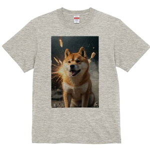 Č TVc fB[X t@  t  vg JWA 킢 lԗp h ̃fUC ʔ  Č Xp[N