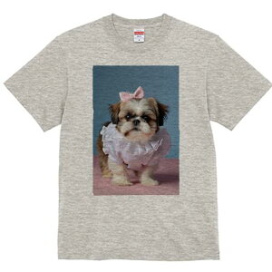 V[Y[ TVc fB[X t@  t  vg JWA 킢 lԗp h ̃fUC ʔ { V[Y[ 