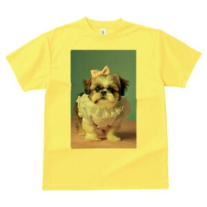 V[Y[ TVc fB[X t@  t  vg JWA 킢 lԗp h ̃fUC ʔ { V[Y[ 