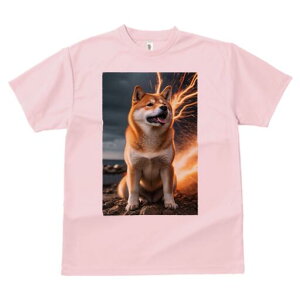 Č TVc fB[X t@  t  vg JWA 킢 lԗp h ̃fUC ʔ  Č 