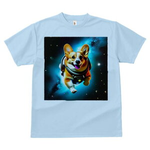 R[M[ TVc fB[X t@  t  vg JWA 킢 lԗp h ̃fUC ʔ F R[M[ Xy[X wbg 