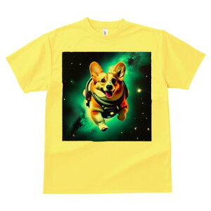 R[M[ TVc fB[X t@  t  vg JWA 킢 lԗp h ̃fUC ʔ F R[M[ Xy[X wbg 