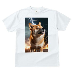 Č TVc fB[X t@  t  vg JWA 킢 lԗp h ̃fUC ʔ  Č   Ή