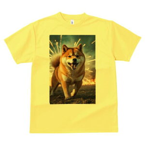 Č TVc fB[X t@  t  vg JWA 킢 lԗp h ̃fUC ʔ ԉ Č