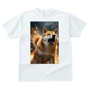 Č TVc fB[X t@  t  vg JWA 킢 lԗp h ̃fUC ʔ  Č Xp[N