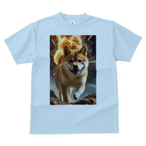 Č TVc fB[X t@  t  vg JWA 킢 lԗp h ̃fUC ʔ  Č Xp[N