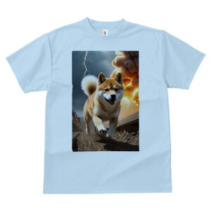 Č TVc fB[X t@  t  vg JWA 킢 lԗp h ̃fUC ʔ  Č 