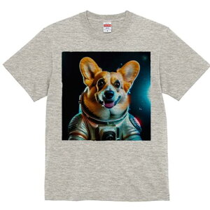 R[M[ TVc fB[X t@  t  vg JWA 킢 lԗp h ̃fUC ʔ F R[M[ F