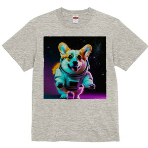 R[M[ TVc fB[X t@  t  vg JWA 킢 lԗp h ̃fUC ʔ F R[M[ F