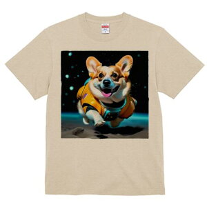 R[M[ TVc fB[X t@  t  vg JWA 킢 lԗp h ̃fUC ʔ F R[M[ F 