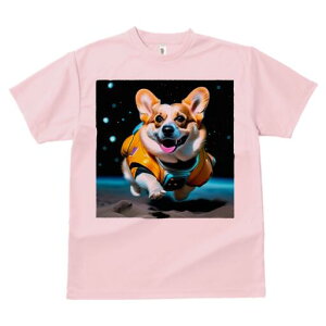 R[M[ TVc fB[X t@  t  vg JWA 킢 lԗp h ̃fUC ʔ F R[M[ F 