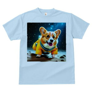 R[M[ TVc fB[X t@  t  vg JWA 킢 lԗp h ̃fUC ʔ F R[M[ F 