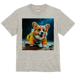 R[M[ TVc fB[X t@  t  vg JWA 킢 lԗp h ̃fUC ʔ F R[M[ F 