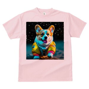 R[M[ TVc fB[X t@  t  vg JWA 킢 lԗp h ̃fUC ʔ F R[M[ F Xy[X