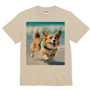 R[M[ TVc fB[X t@  t  vg JWA 킢 lԗp h ̃fUC ʔ r[` R[M[ C g n[lX