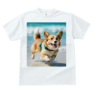 R[M[ TVc fB[X t@  t  vg JWA 킢 lԗp h ̃fUC ʔ r[` R[M[ C g n[lX