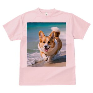 R[M[ TVc fB[X t@  t  vg JWA 킢 lԗp h ̃fUC ʔ C R[M[ l g